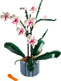 Orquídeas