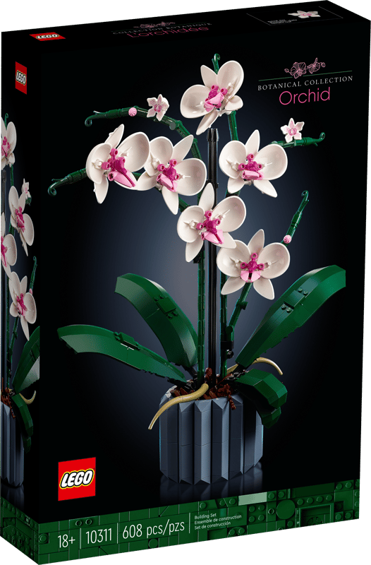 Orquídeas
