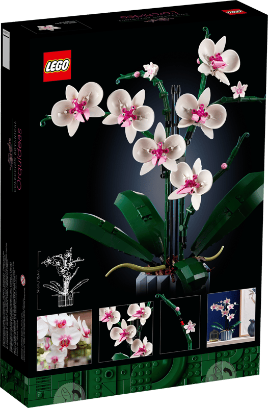 Orquídeas