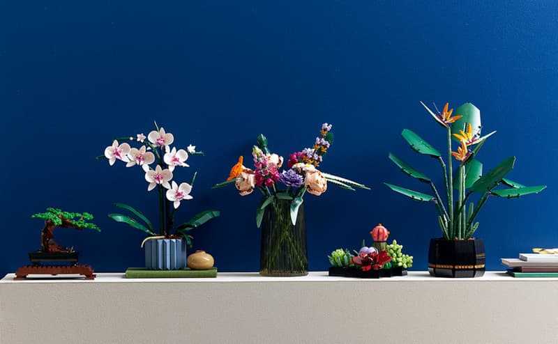 Orquídeas