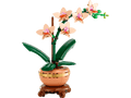 Miniorquídea