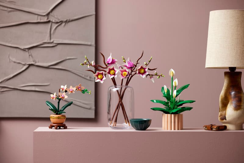 Ramas de Magnolia