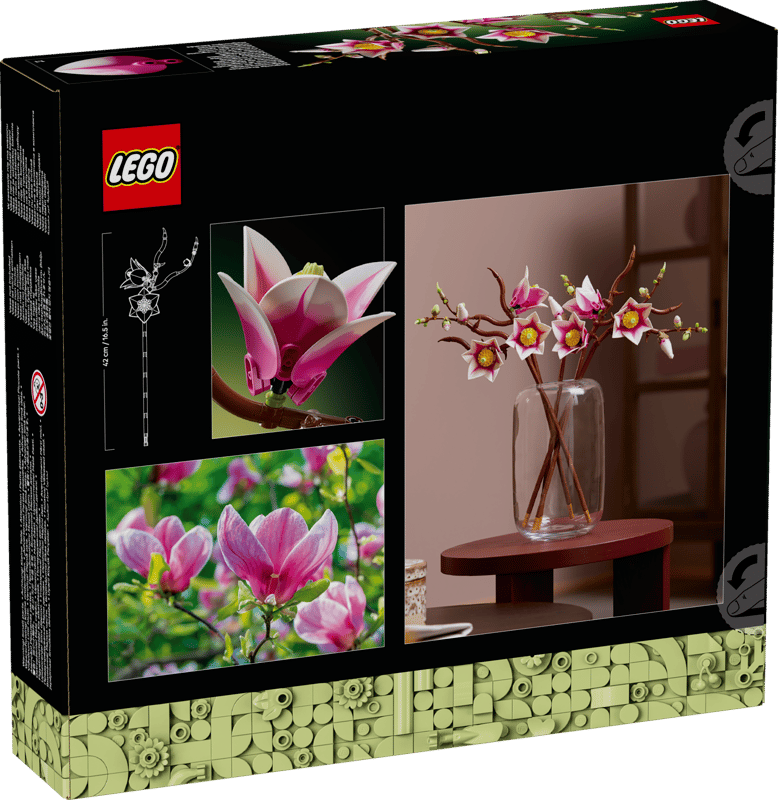 Ramas de Magnolia