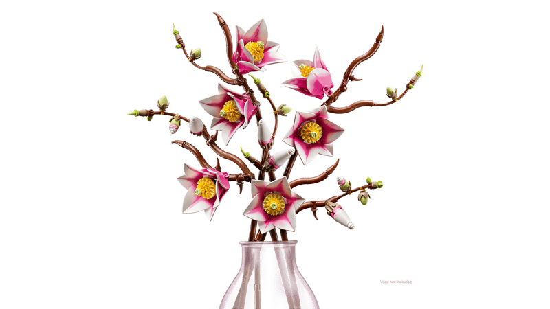 Ramas de Magnolia