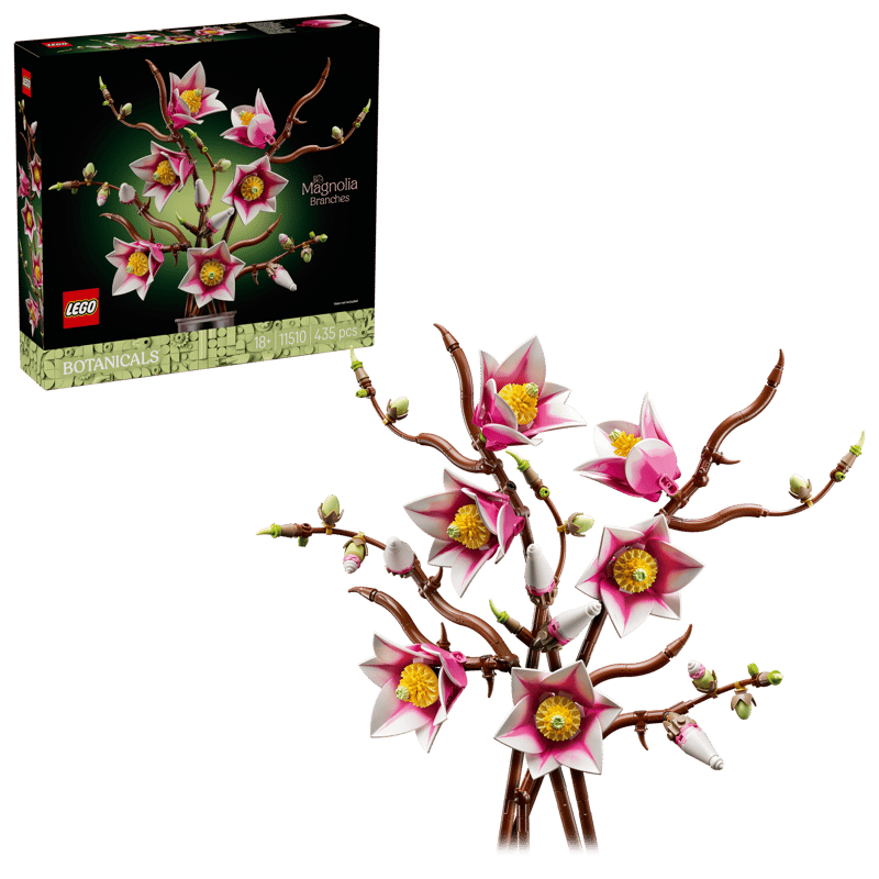 Ramas de Magnolia